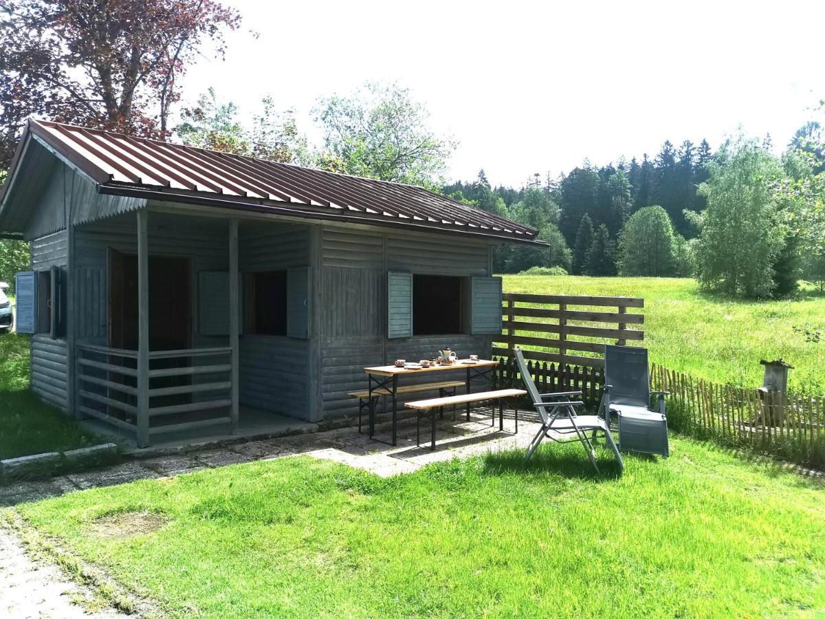 Anno - Wohlfuehlen Am Bachal In Altschoenau นอยเชอเนา ภายนอก รูปภาพ